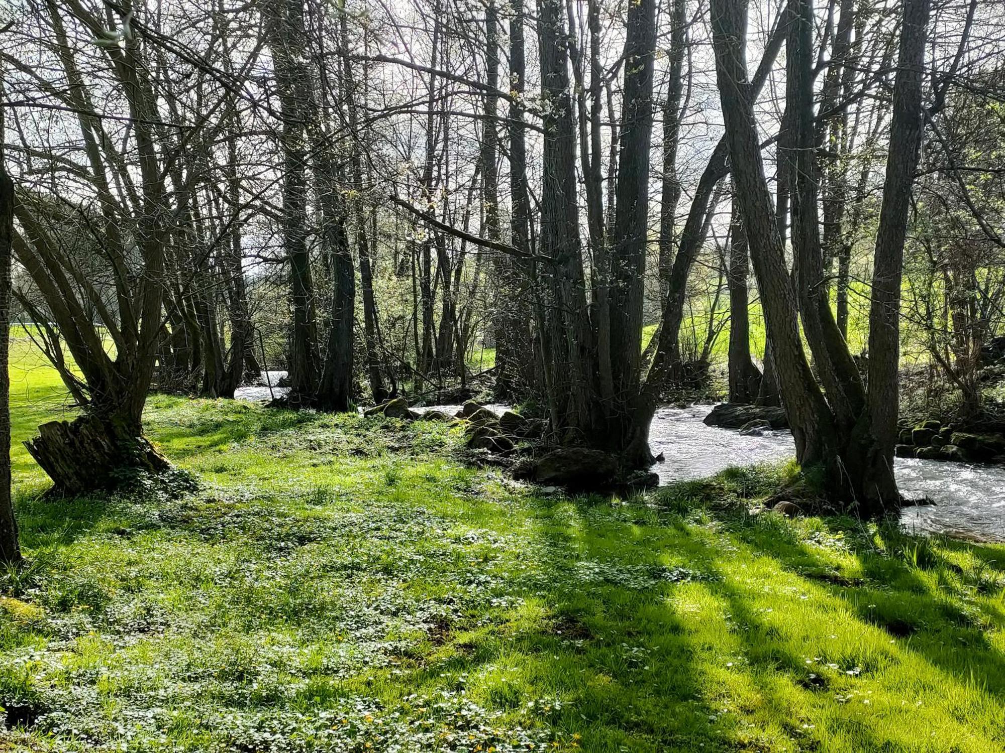Wind In Den Weiden, Uebernachten Am Bachlauf Birstein Eksteriør billede