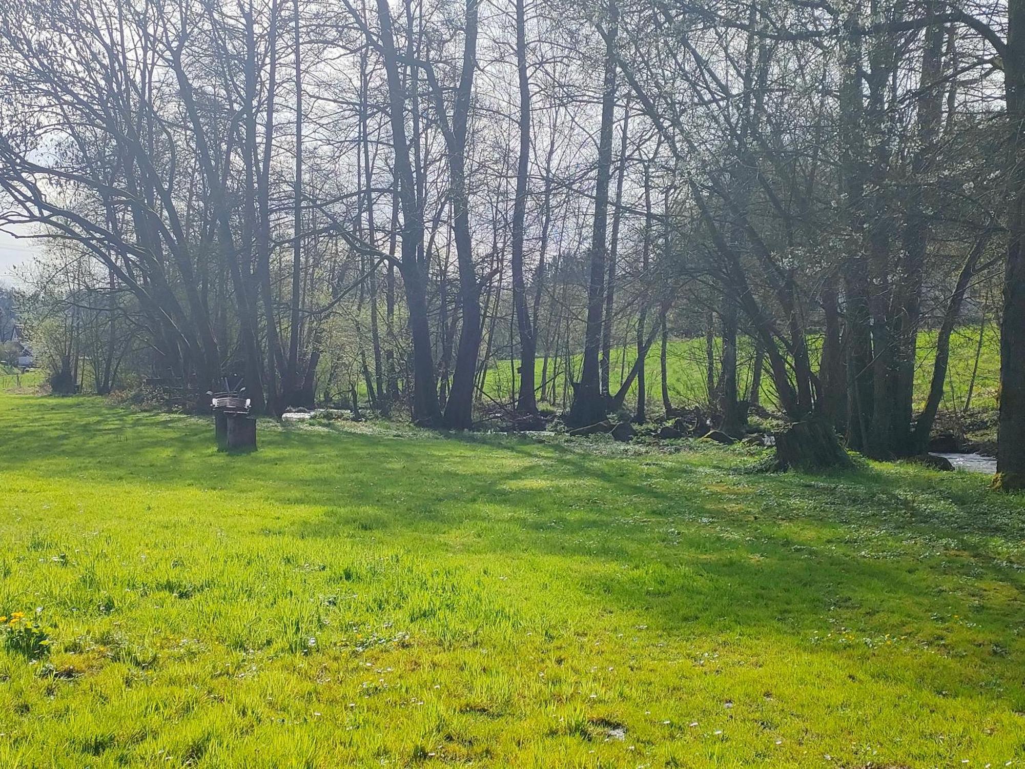 Wind In Den Weiden, Uebernachten Am Bachlauf Birstein Eksteriør billede