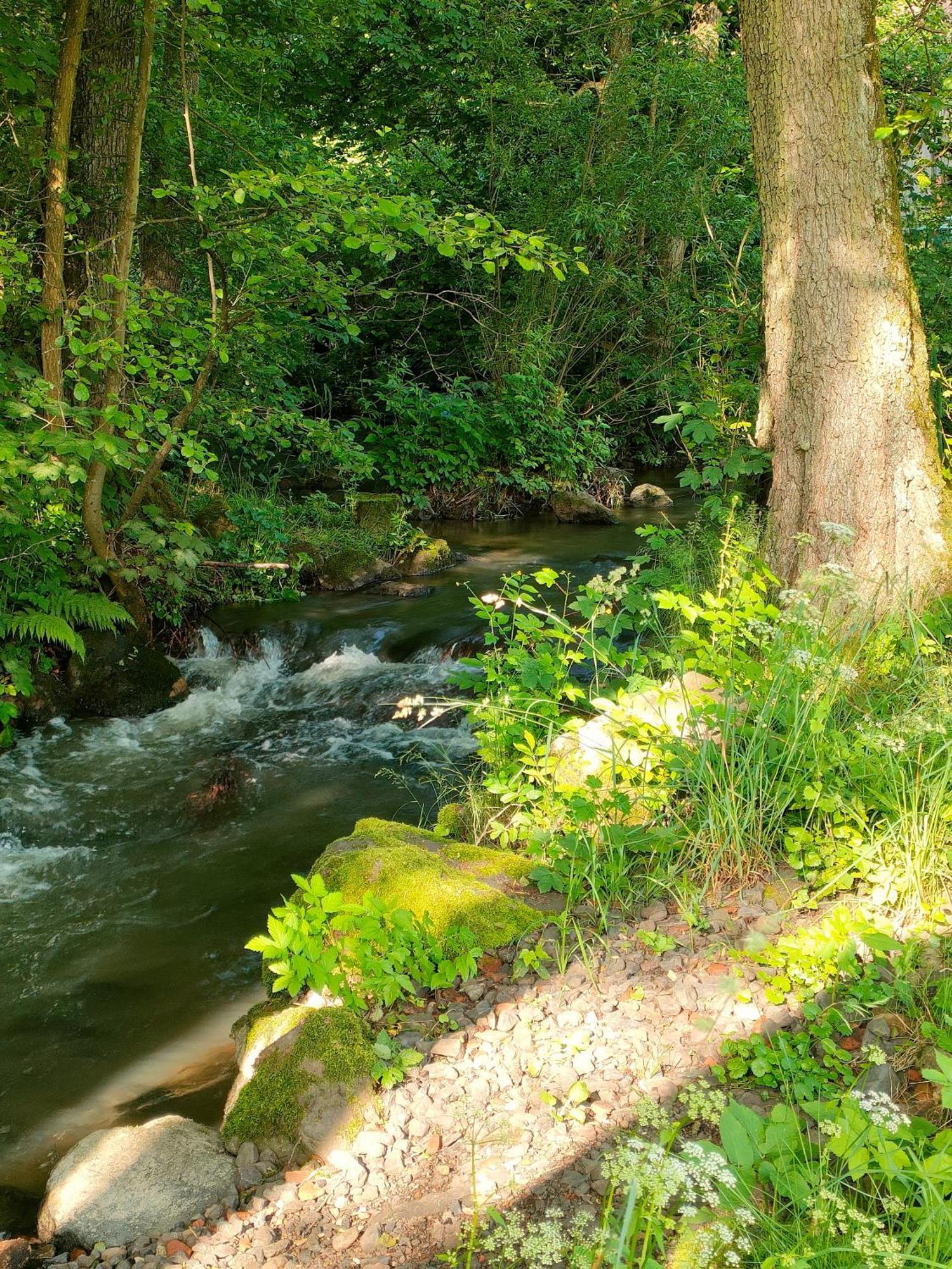 Wind In Den Weiden, Uebernachten Am Bachlauf Birstein Eksteriør billede